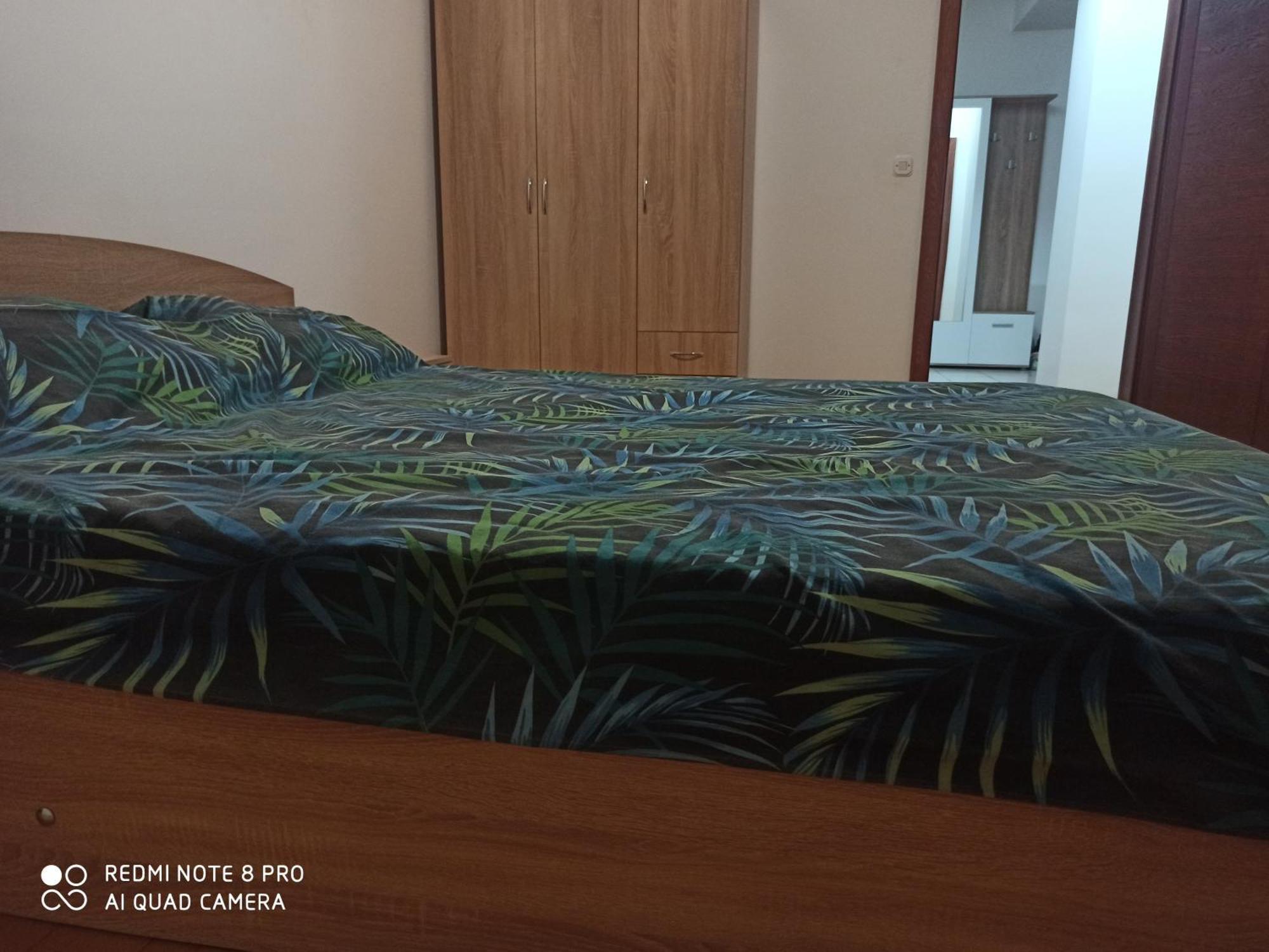 Panimis Apartment スコピエ エクステリア 写真